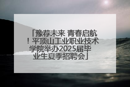 豫荐未来 青春启航！平顶山工业职业技术学院举办2025届毕业生夏季招聘会